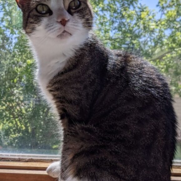 Howdy friend! You can call me Ash - Picture 7 of 7